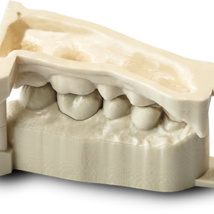 3D-Dental-Die-Model