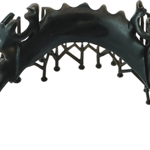Partial-Denture-Base