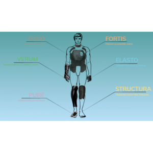 fortis-ll 3