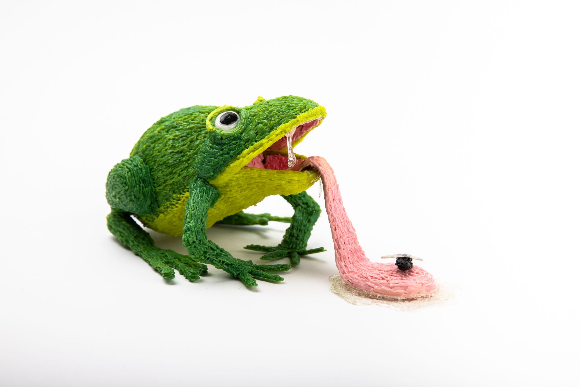 3D Simo frog 3D Simo frog